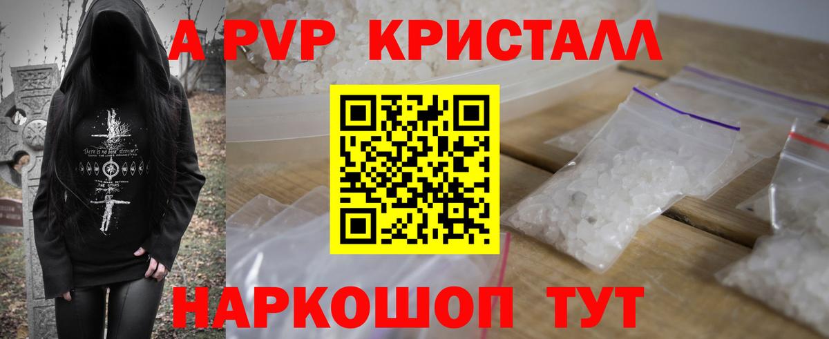 Alfa_PVP СК Кузнецк