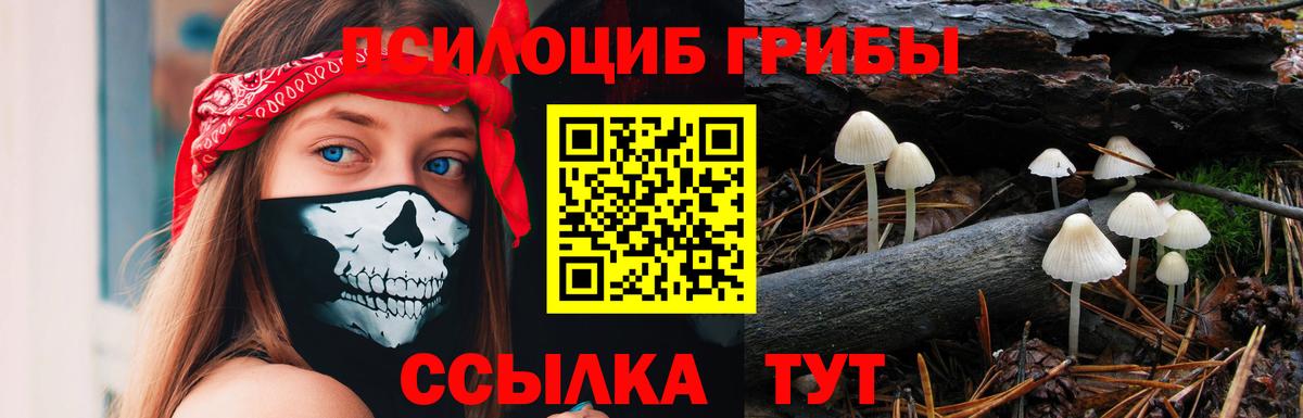 Кузнецк  Псилоцибиновые грибы Cubensis  Вход с VPN  Галлюциногенные грибы MAGIC MUSHROOMS 